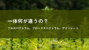 CBDのフルスペクトラム、ブロードスペクトラム、アイソレートって一体何が違うの？